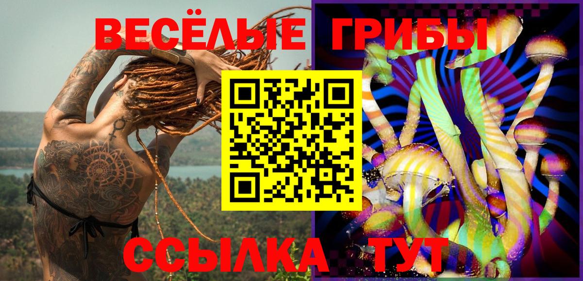 Электрогорск  Псилоцибиновые грибы Cubensis  Псилоцибиновые грибы ЛСД  Вход с VPN 