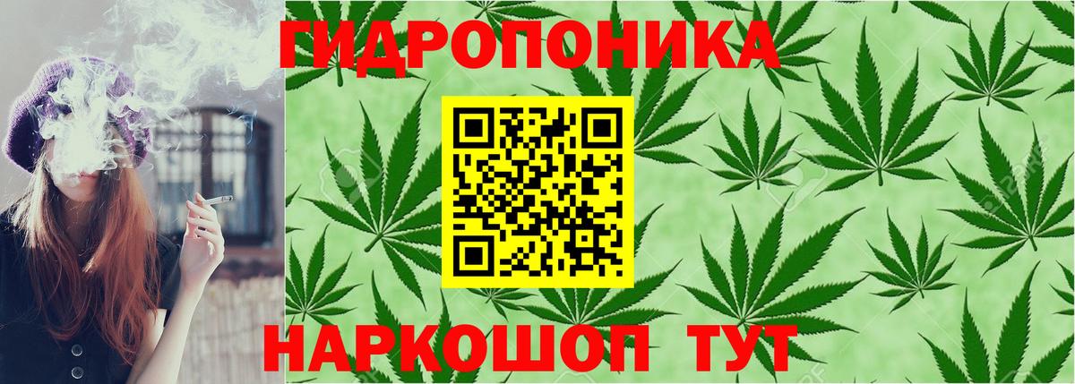 Электрогорск  Каннабис ГИДРОПОН  Конопля тримм  Вход с VPN 